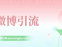 微博创业粉引流课程：纯搬运上手，日引200+变现3000+