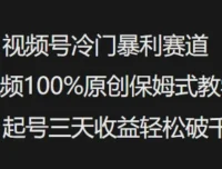 视频号冷门暴利赛道原创教学