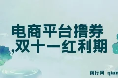 电商平台撸券项目：双十一新手红利，单号日入300+