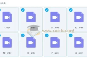 宋茗2023春初二英语春季目标S课程（人教版通用）