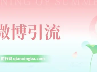 微博创业粉引流课程：纯搬运上手，日引200+变现3000+