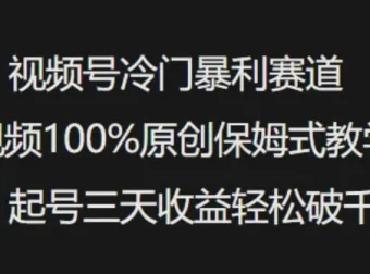 视频号冷门暴利赛道原创教学