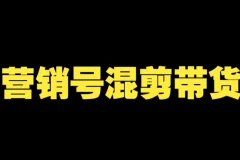 营销号混剪带货课程：从内容创作到流量变现全流程