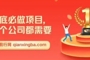 公司年底0成本变现项目