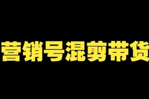 营销号混剪带货课程：从内容创作到流量变现全流程