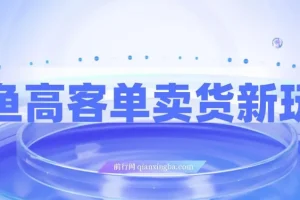 闲鱼高客单卖货玩法：选品与盈利指南