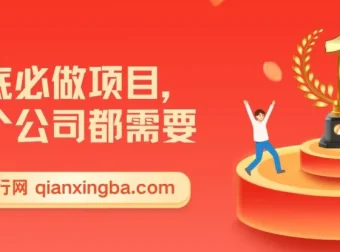 公司年底0成本变现项目