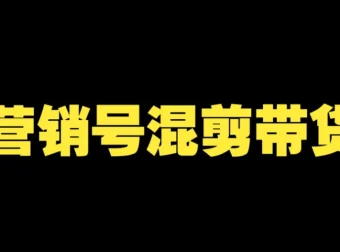 营销号混剪带货课程：从内容创作到流量变现全流程