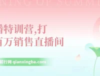 直播特训营：打造百万销售直播间课程