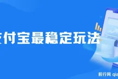 支付宝稳定玩法项目：2024年下半年最新风口