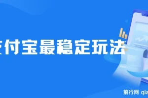 支付宝稳定玩法项目：2024年下半年最新风口