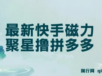 快手磁力聚星撸拼多多玩法教程