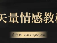 矢量动画情感教程：适用于多赛道的涨粉秘籍