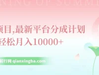 最新平台分成计划风口项目：单号月入过万指南