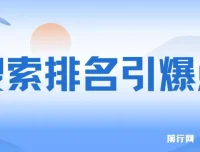 王通《搜索排名引爆点》课程