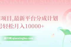 最新平台分成计划风口项目：单号月入过万指南