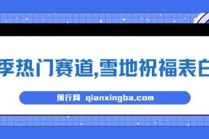 冬季雪地祝福表白项目：AI自动生成与变现指南