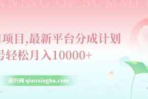 最新平台分成计划风口项目：单号月入过万指南