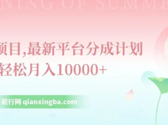最新平台分成计划风口项目：单号月入过万指南