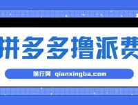 拼多多撸派费软件：全自动运行项目工具