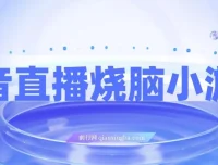 抖音烧脑小游戏直播项目：宝妈上班族副业之选