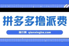 拼多多撸派费软件：全自动运行项目工具