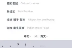 国外美食与视频创业攻略：素材搜索到抖音运营课程