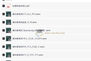 韩语初中级语法60课时课程