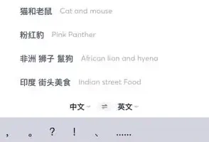 国外美食与视频创业攻略：素材搜索到抖音运营课程