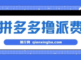 拼多多撸派费软件：全自动运行项目工具