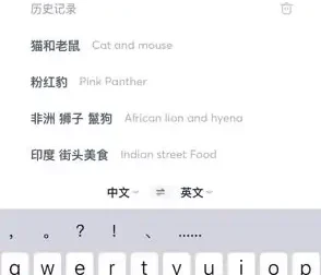 国外美食与视频创业攻略：素材搜索到抖音运营课程