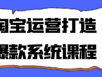 淘宝运营爆款打造系统课程