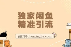 独家闲鱼引流实战玩法：日引300+技术