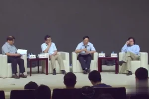 王德峰艺术哲学与审美问题66讲及西方美学史课程