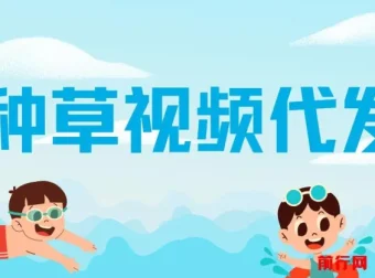 种草视频代发项目：无门槛日入300+，无粉丝与播放量要求