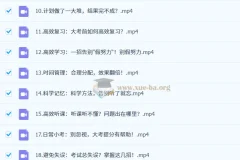 逆袭高手学习方法课：从零到顶尖的高效秘籍