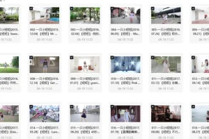 一只小短短舞蹈视频合集