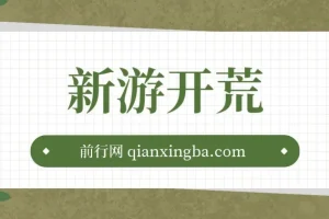 萤火计划游戏：新游单机收益可观