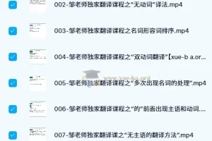 邹老师翻译技巧八节课程