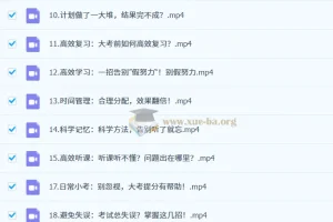 逆袭高手学习方法课：从零到顶尖的高效秘籍