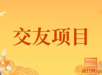 交友搭子付费进群项目：低客单高转化，稳定变现