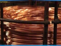 斑马百科：岩石矿物图鉴，12课探索地球宝藏