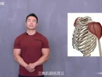 一介粗人×麦大湿：肩部训练3大核心技巧与错误纠正课程