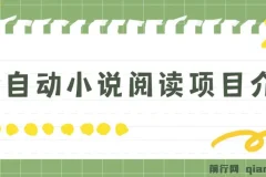 全自动小说阅读项目：纯脚本运营，可批量操作，适合小白