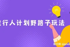 抖音游戏发行人计划野路子玩法：一部手机轻松操作，单视频高收益项目