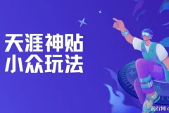 天涯神贴小众玩法教程：冷门赛道的赚钱秘籍