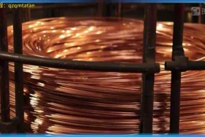 斑马百科：岩石矿物图鉴，12课探索地球宝藏