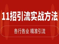 精准引流术：11招引流实战方法，实现私域流量激增（11节课完整版）