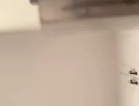 恋爱心理学：赛维的12堂恋爱情商提升必修课