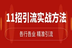 精准引流术：11招引流实战方法，实现私域流量激增（11节课完整版）